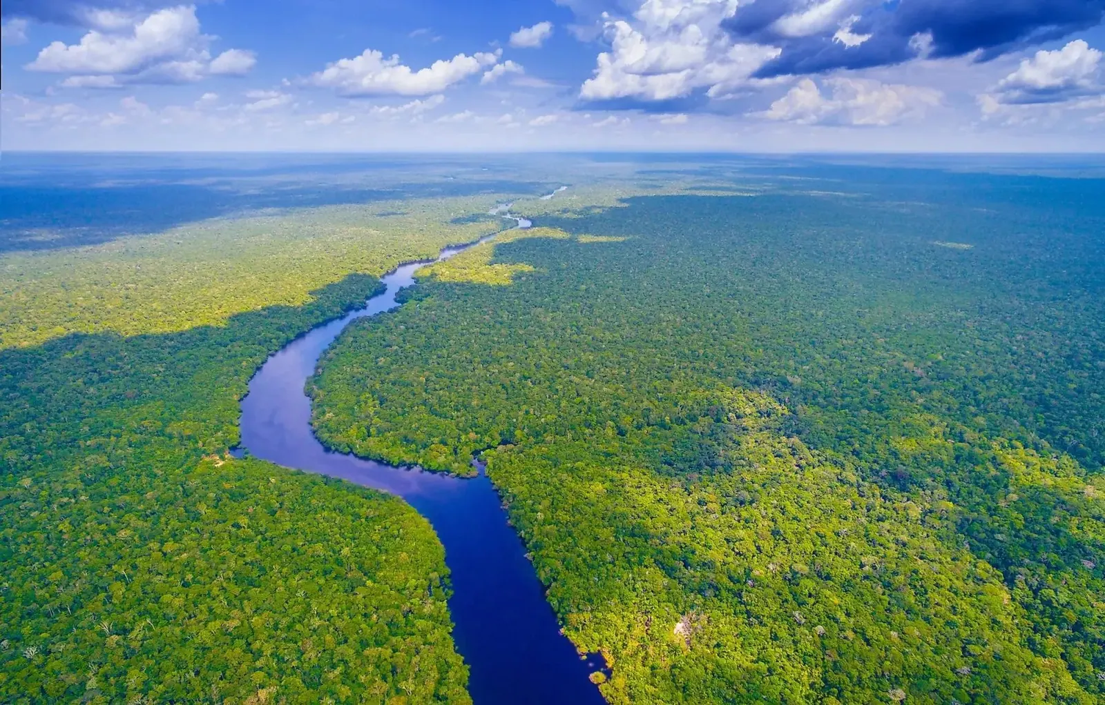 Rio Amazonas, aérea com curva e floresta