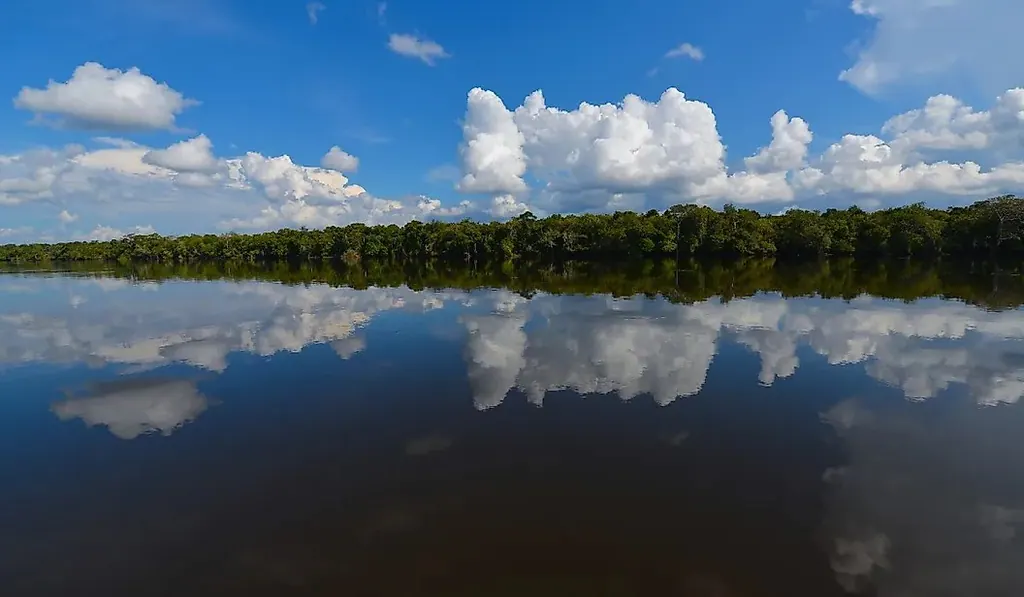 Rio Guaporé, reflexo da floresta na água parada