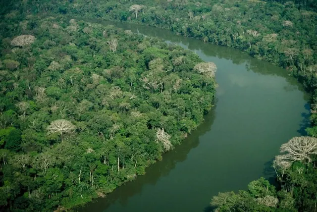 Rio Juruá, meandro na floresta